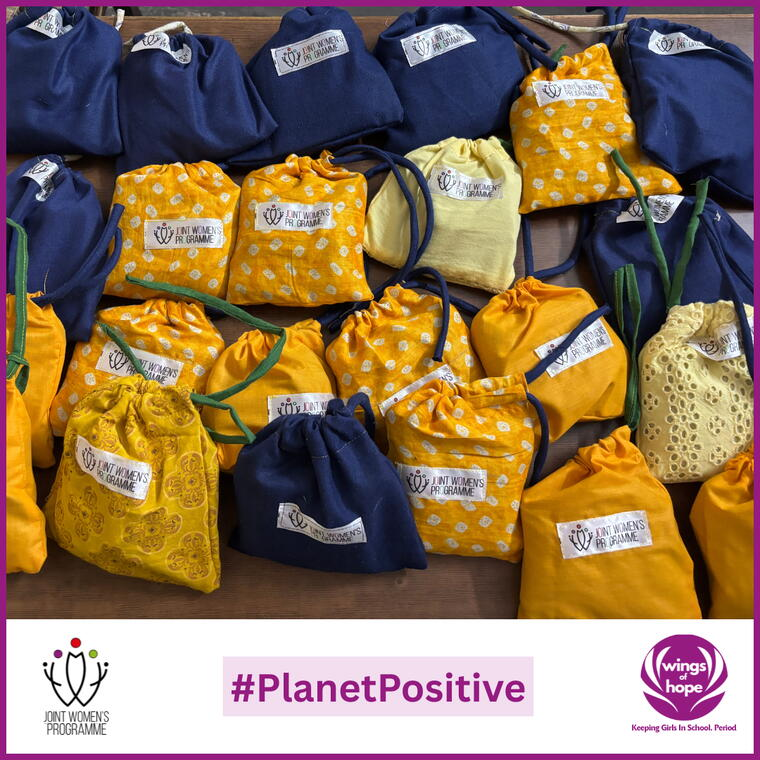 Reusable cloth pad pouches